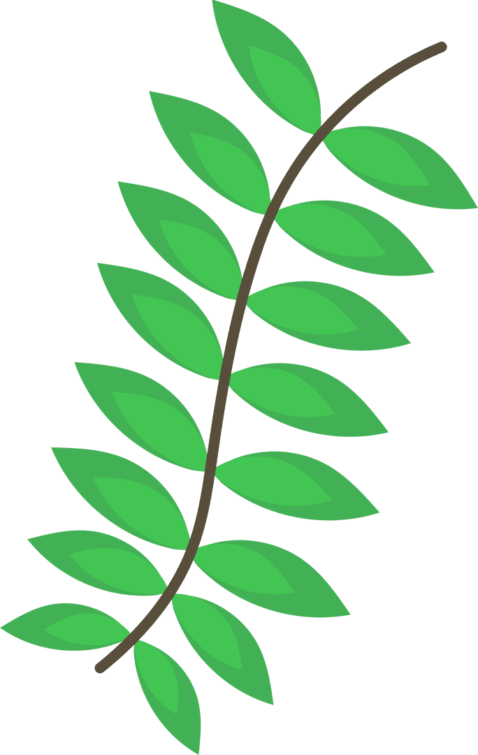 Transparent Stylized Green Plant Branch Illustration