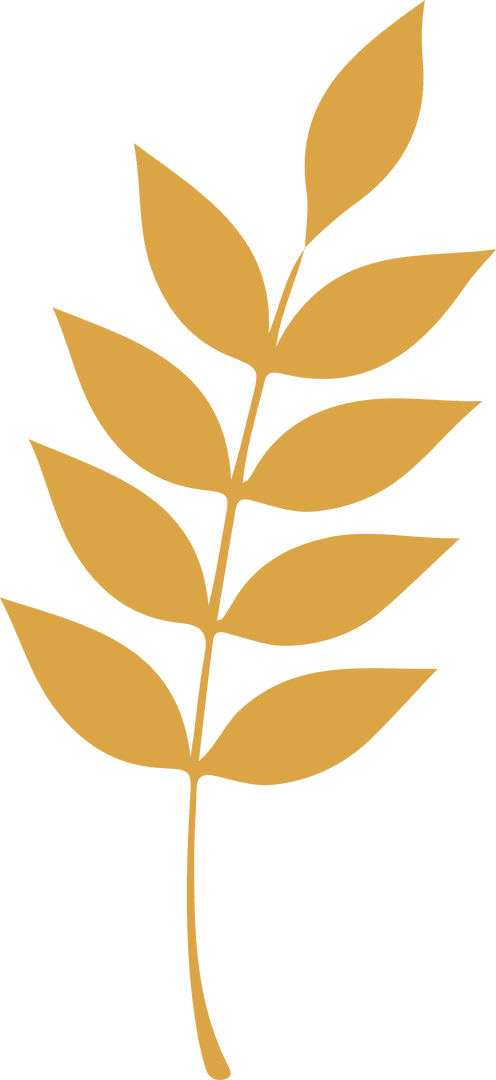 Elegant Golden Branch Illustration on Transparent Background