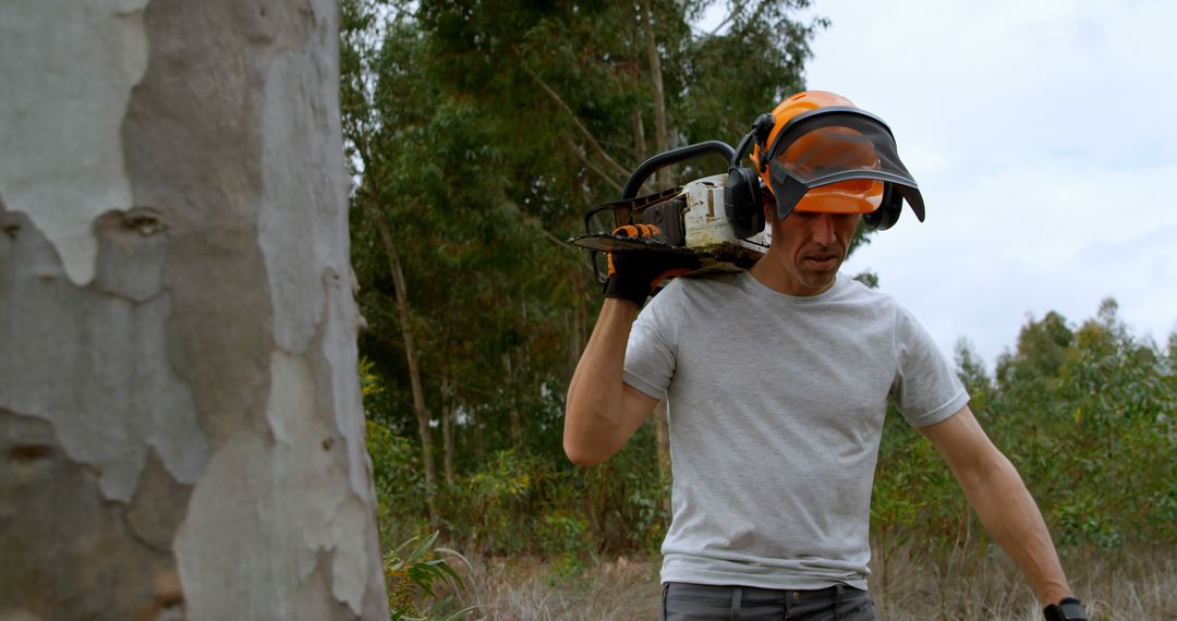 Lumberjack Carrying Chainsaw in Forest - Free Images, Stock Photos and Pictures on Pikwizard.com