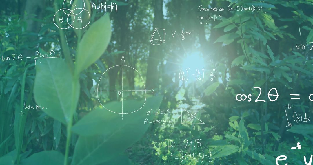 Illuminated Forest Path with Mathematics Overlay Abstract Concept