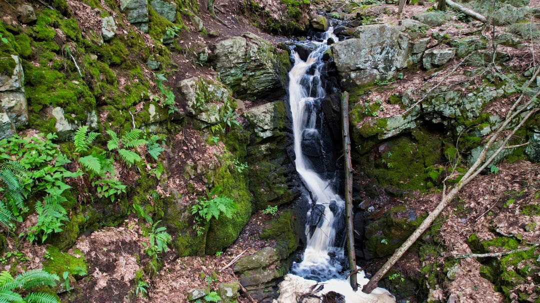 Serene Forest Waterfall Flowing Between Rocks