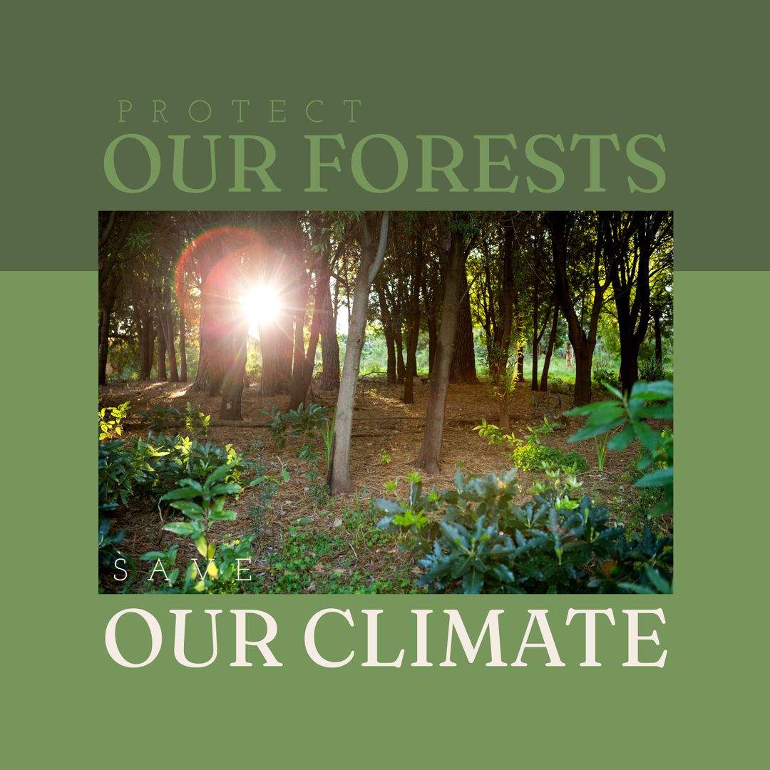 Environmental Conservation Message in Sunlit Forest Scene