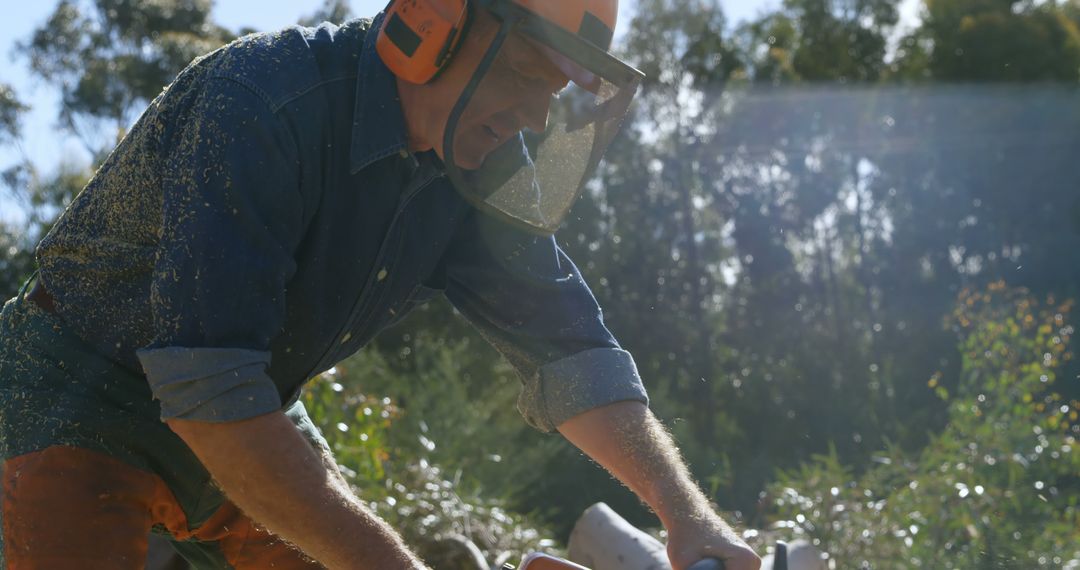 Forestry Worker Using Chainsaw in Sunlit Forest - Free Images, Stock Photos and Pictures on Pikwizard.com