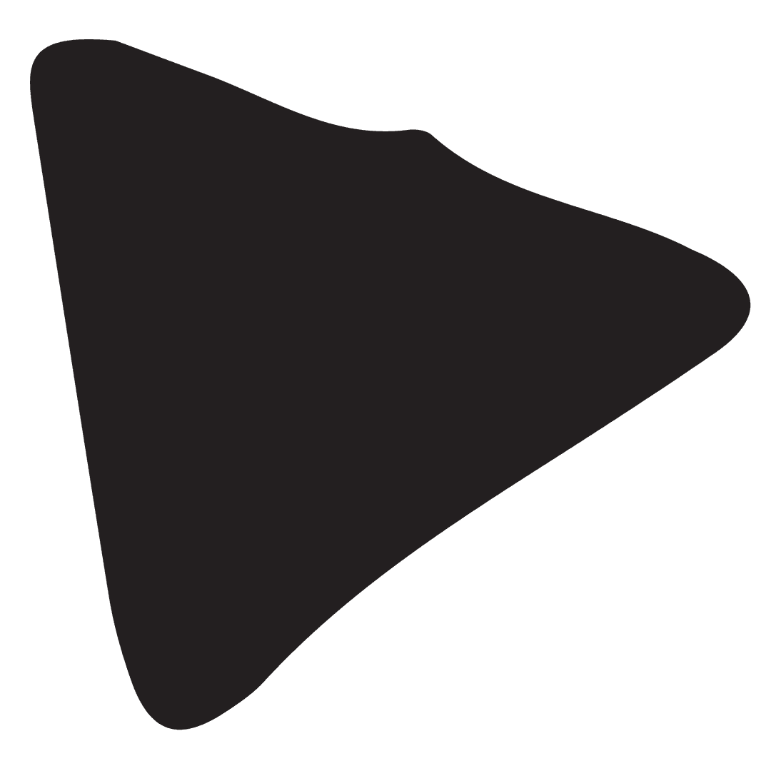 Black Stingray Illustration on Transparent Background