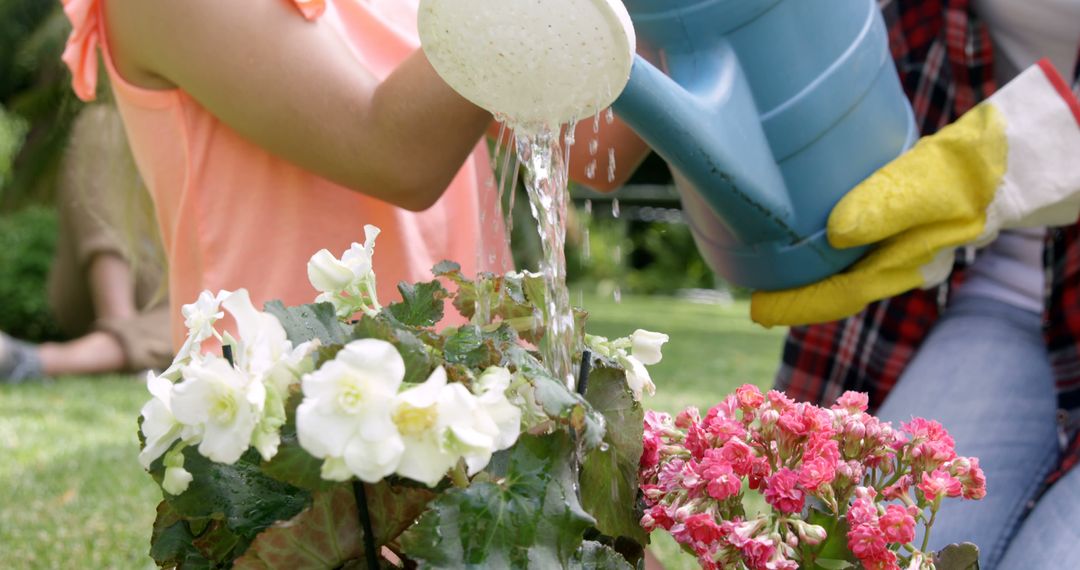 A person is watering blooming flowers with a watering can, with copy space - Free Images, Stock Photos and Pictures on Pikwizard.com