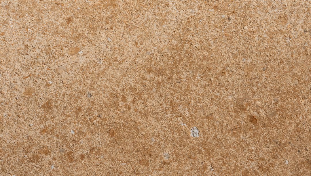Textured Tan Limestone Showing Mineral Grains, White Flecks, Pockmarks and Sandy Speckle
