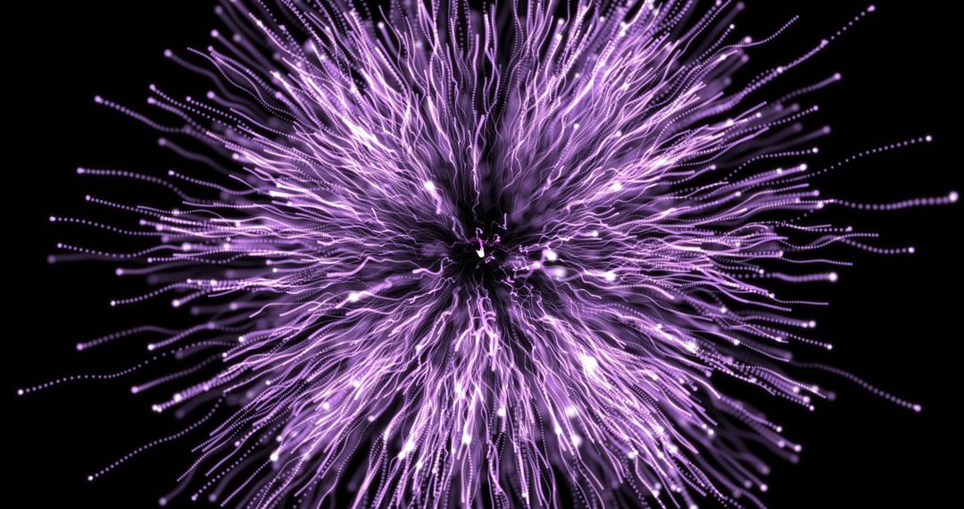 Dynamic Burst of Purple Fireworks on Black Background