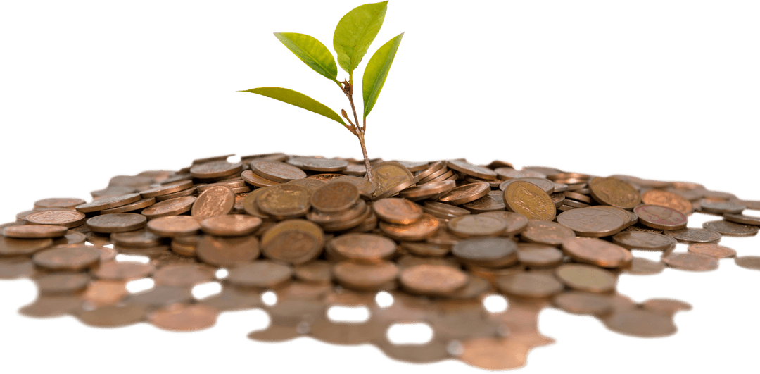 Transparent Plant Growing from Pile of Coins Symbolizes Financial Growth