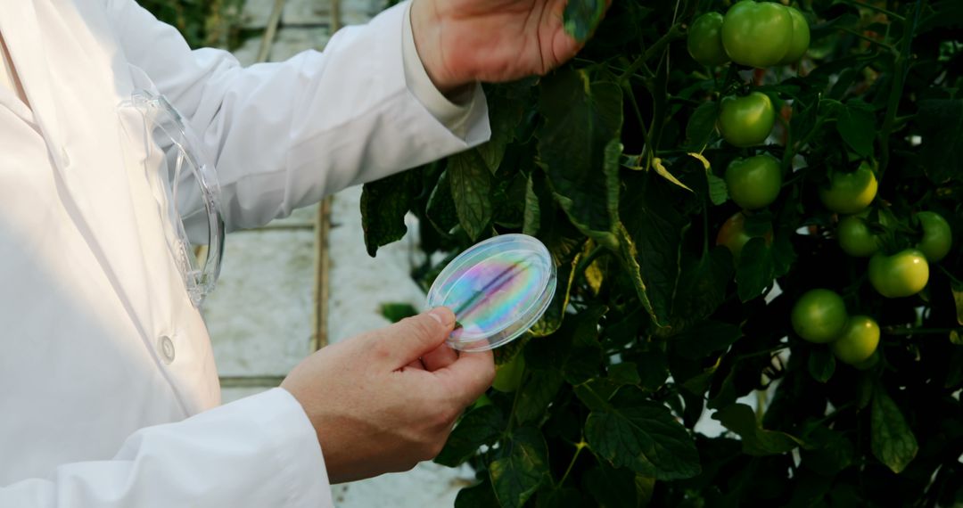 Scientist Researching Plant Health in Greenhouse