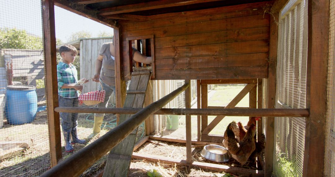 Family Collecting Eggs in Backyard Chicken Coop - Free Images, Stock Photos and Pictures on Pikwizard.com