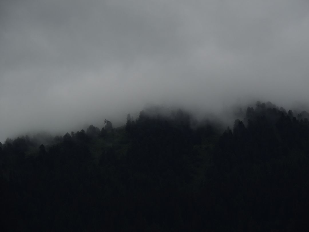 Misty Fog Rolling Over Dark Forested Hills - Free Images, Stock Photos and Pictures on Pikwizard.com