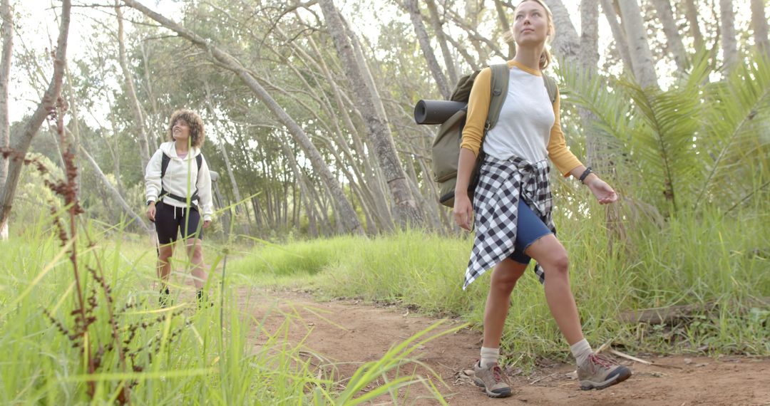 Women Enjoying a Forest Hike in Nature's Tranquility