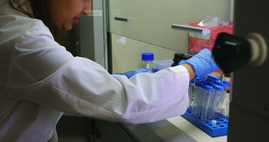 Scientist Preparing Laboratory Test Tubes for Research - Free Images, Stock Photos and Pictures on Pikwizard.com