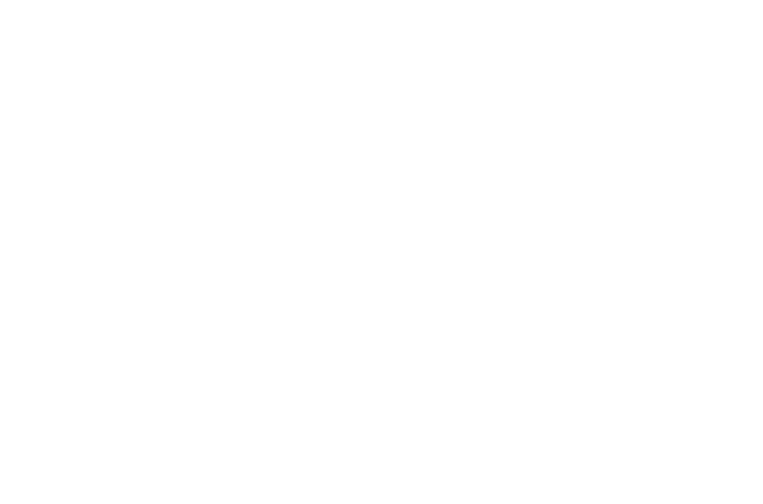White Flower Pattern on Transparent Background