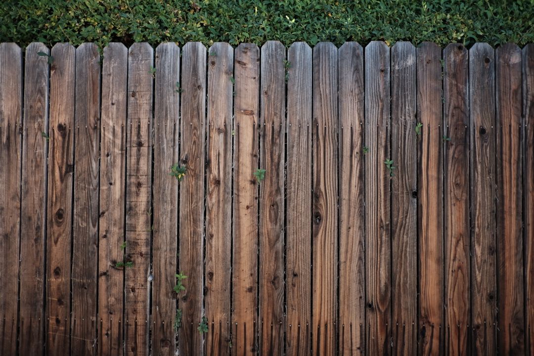 Aged Wooden Fence with Green Ivy on Top - Free Images, Stock Photos and Pictures on Pikwizard.com