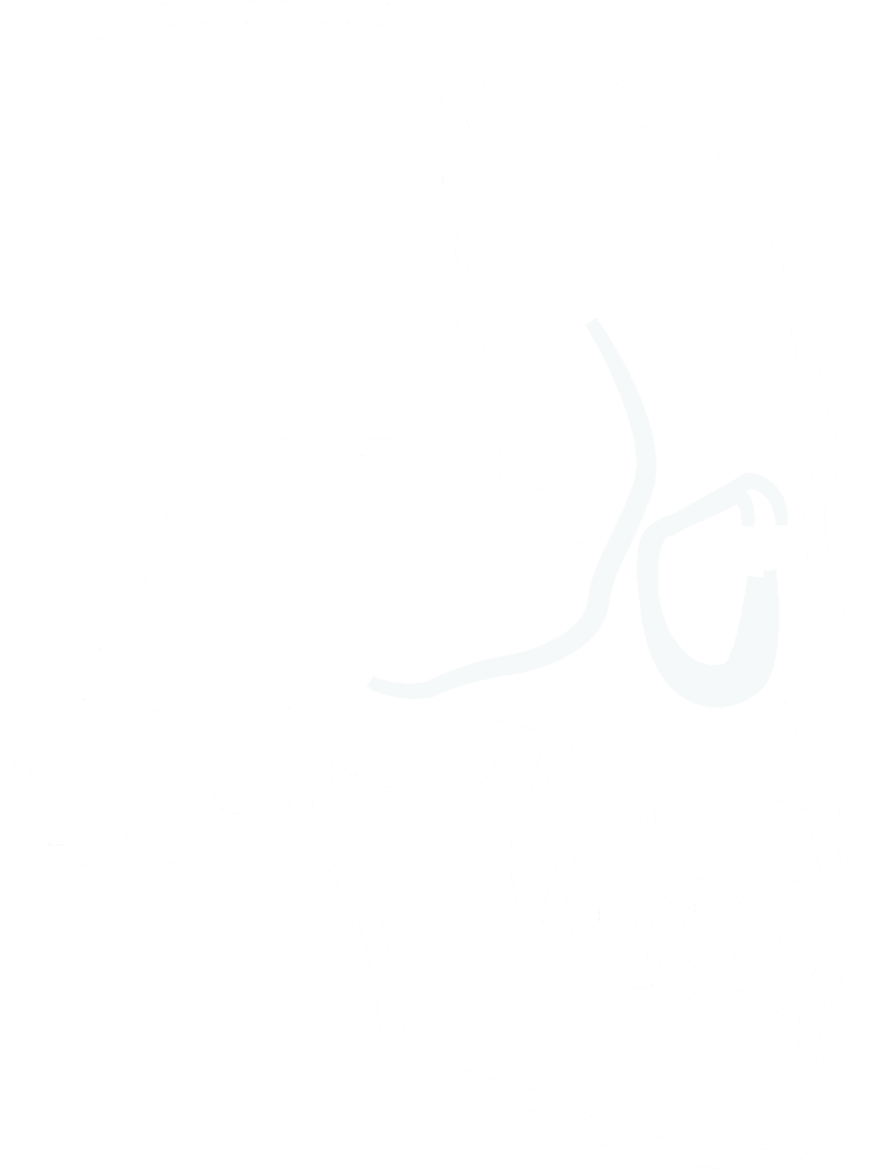 Transparent Outline of Human Skull Vector on White Background
