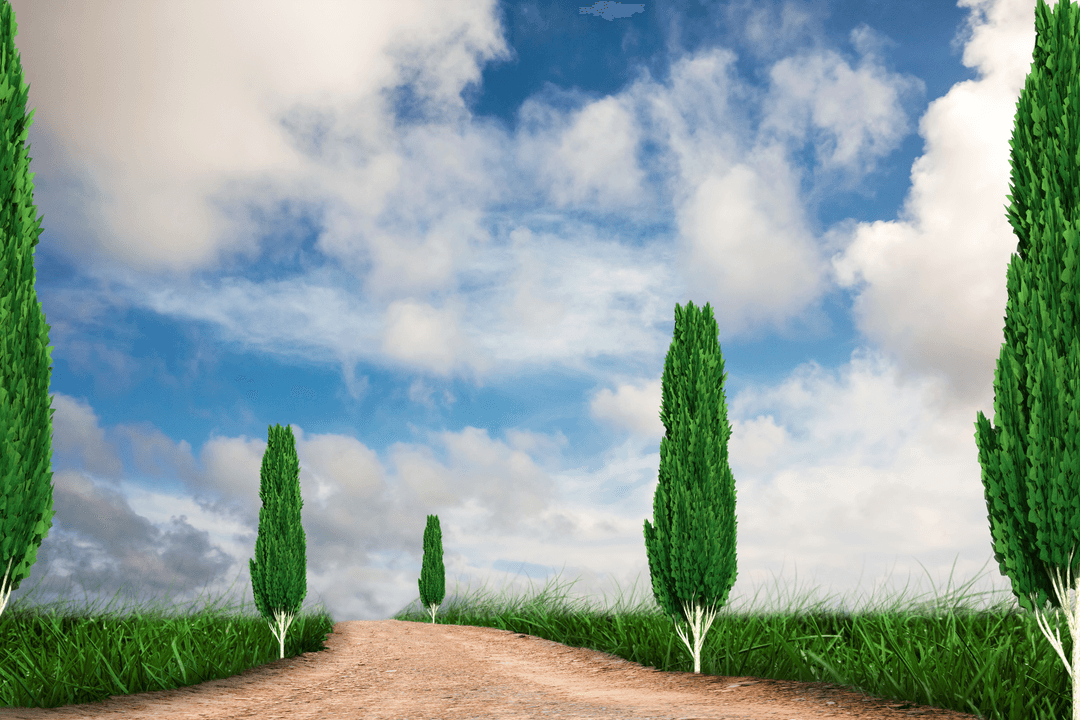 Transparent Countryside Road Lined with Tall Trees under Cloudy Sky