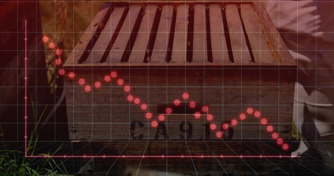 Analyzing Backyard Data: Sustainability and Growth Trends