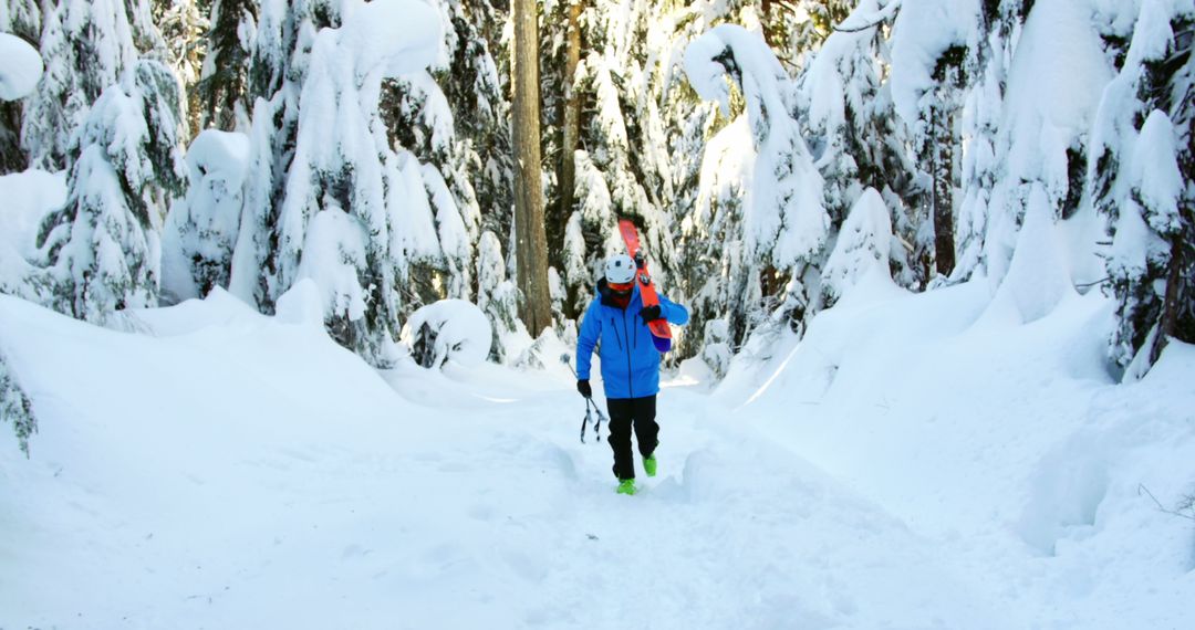 Person Hiking through Snowy Forest Carrying Snowboard - Free Images, Stock Photos and Pictures on Pikwizard.com