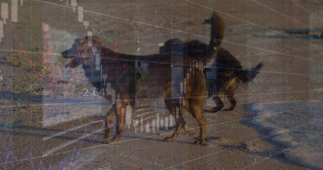 Futuristic Blend of Beach Dogs and Digital Data Visualization
