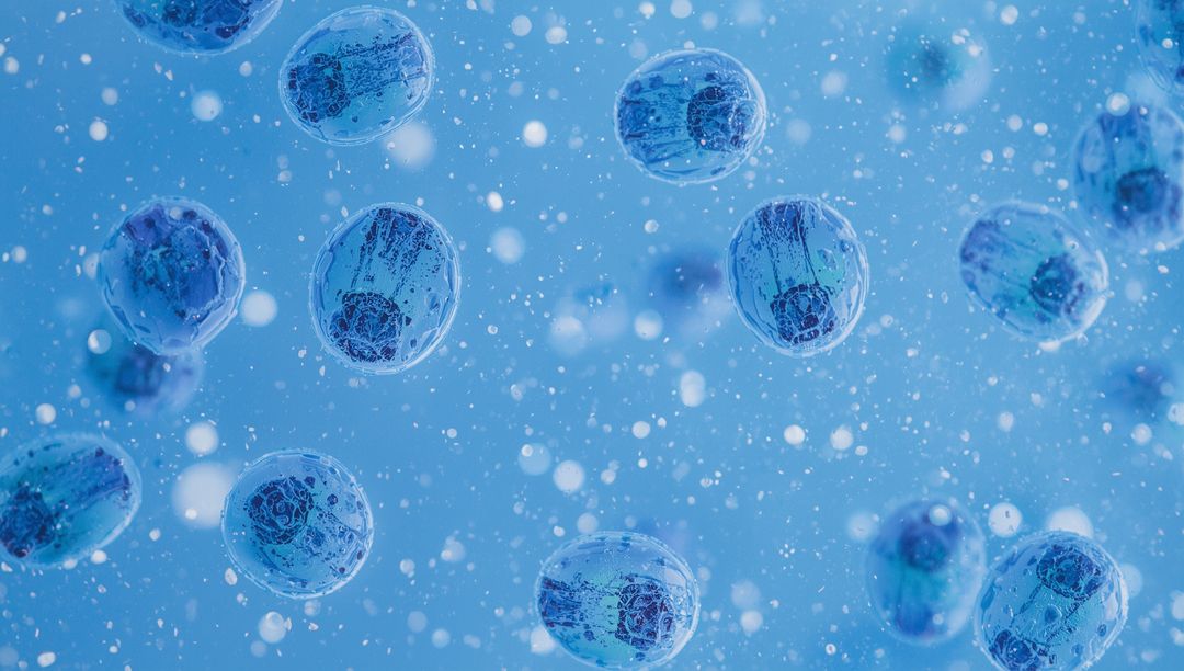 Blue Floating Microspheres in Hydrogen Fluid for Futuristic Bio Research