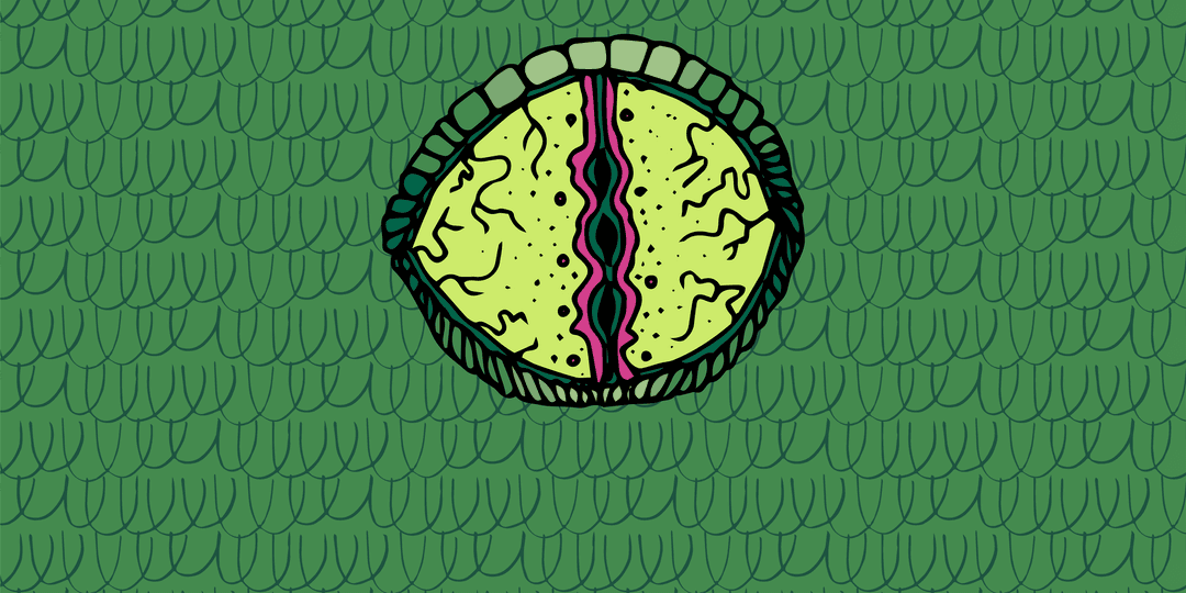 Transparent Lizard Eye with Green Pattern Illustration