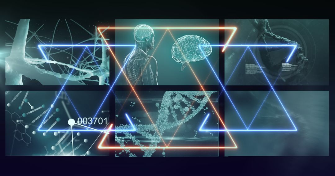 Neon Trails Overlay on Medical Data with Digital Screens