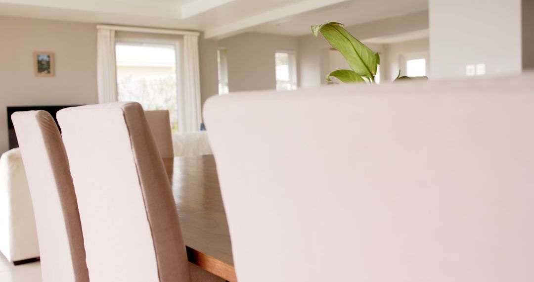 Modern Minimalist Dining Room with Soft Neutral Tones - Free Images, Stock Photos and Pictures on Pikwizard.com