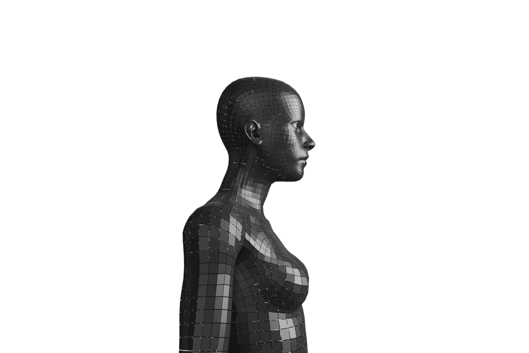 Digital Silhouette of Woman Profile on Transparent Background