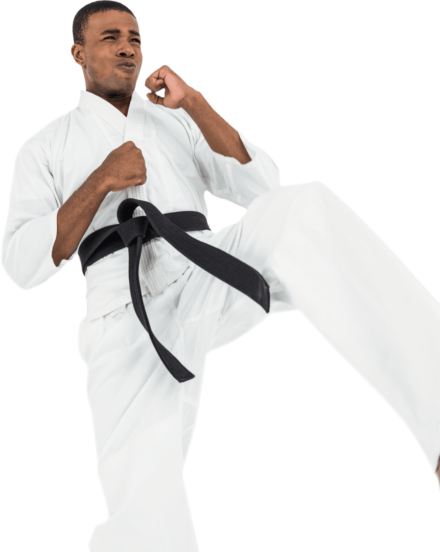 Transparent Karate Black Belt Practicing Front Kick