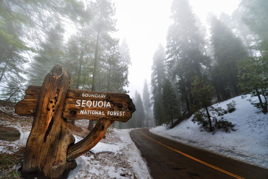 Foggy Winter Morning at Sequoia National Forest Entrance - Free Images, Stock Photos and Pictures on Pikwizard.com