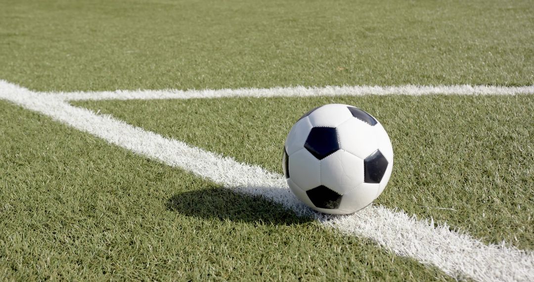 Soccer ball resting on white field line at grass pitch in bright sunlight