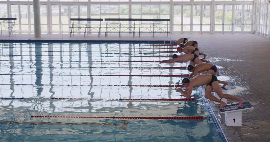 Male Swimmers Diving into Pool in Competitive Event Start