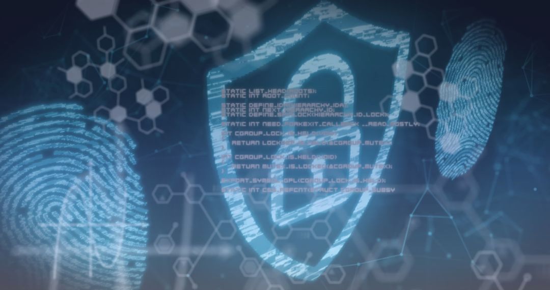 Secure digital interface featuring biometrics and data encryption