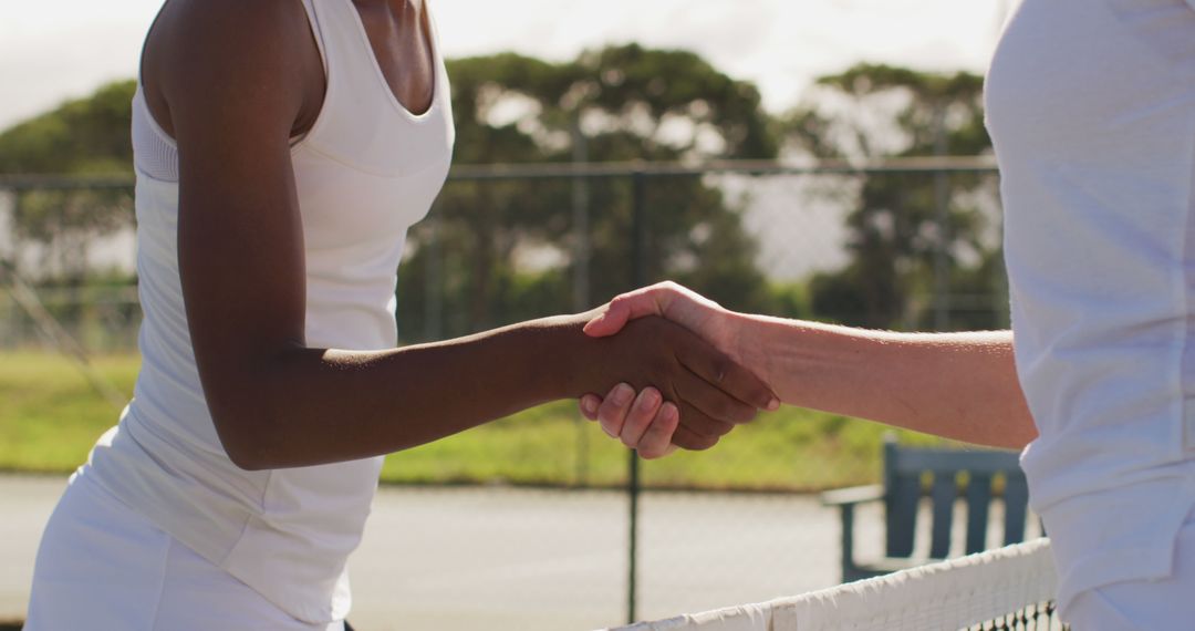 Image of midsection of diverse female tennis players shaking hands - Free Images, Stock Photos and Pictures on Pikwizard.com