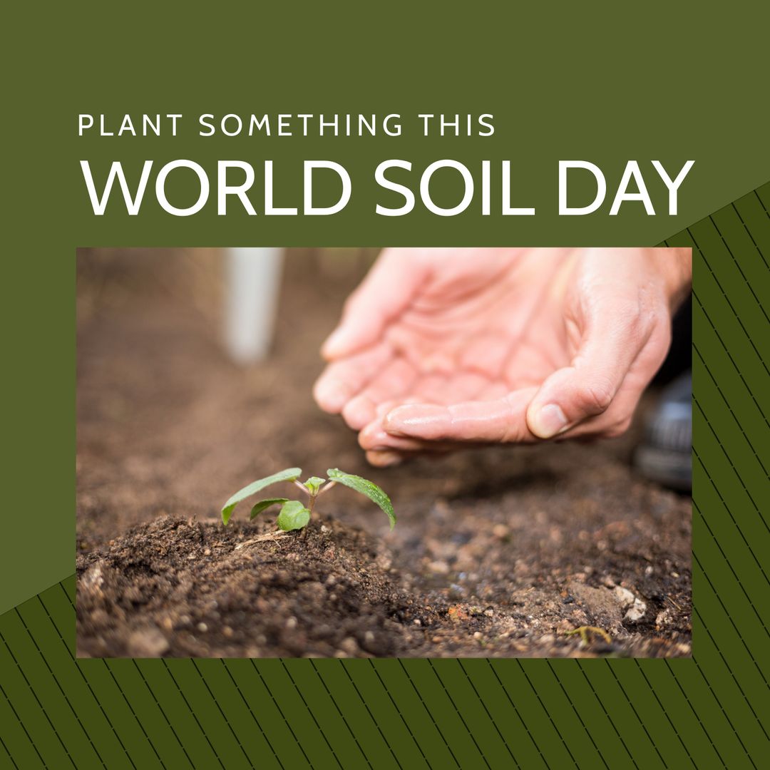 World Soil Day Celebration with New Plant in Garden