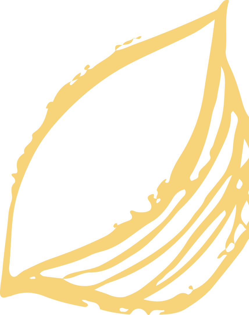 Elegant Golden Abstract Leaf on Transparent Surface