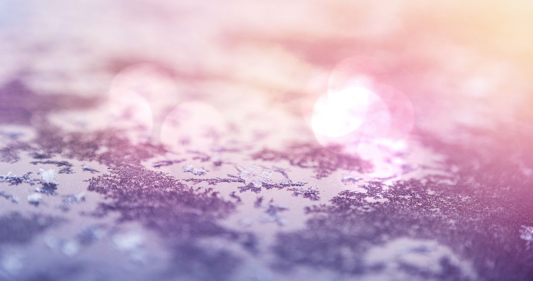 Winter Frost on Dried Leaves with Bokeh Effect