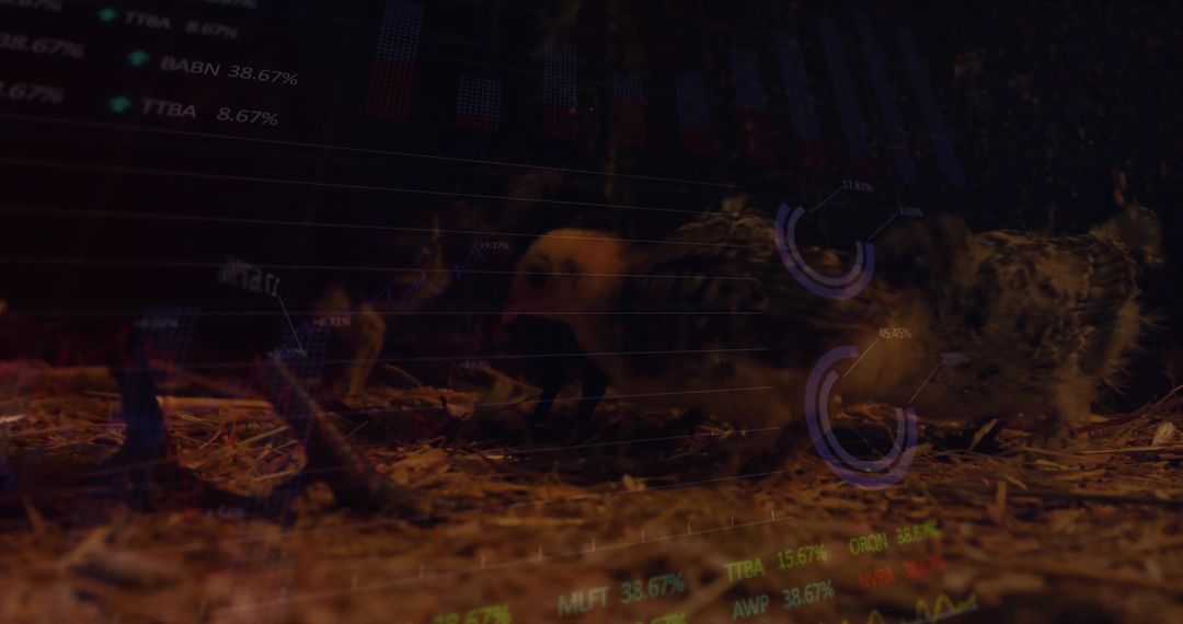 Innovative Poultry Farming with Digital Financial Overlays