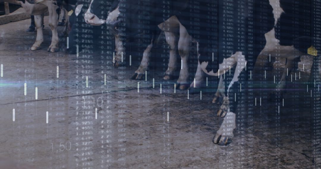 Modern Dairy Farm with Cows and Data Visualization Overlay