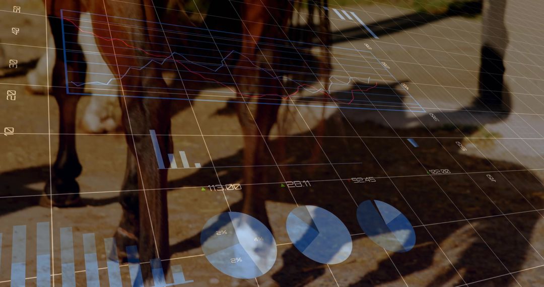 Futuristic Equine Mobility with Analytics Overlay