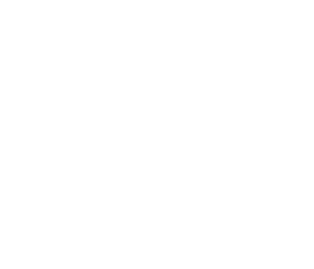 Illustrative White Bird Silhouette on Transparent Background