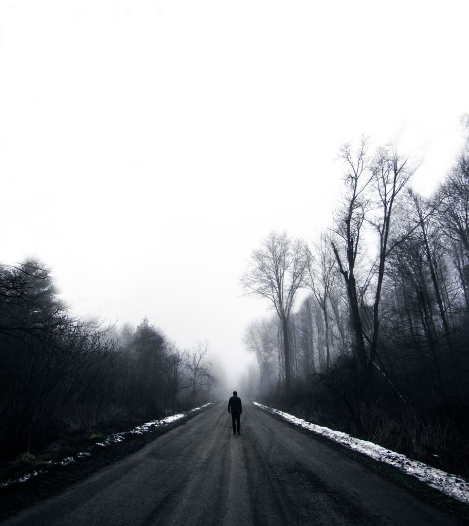 Lone Figure Walking on Misty Road in Winter Landscape - Free Images, Stock Photos and Pictures on Pikwizard.com