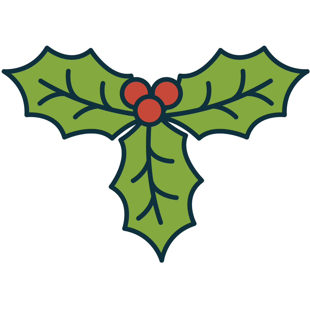 Vintage Style Mistletoe with Berries on Transparent Background