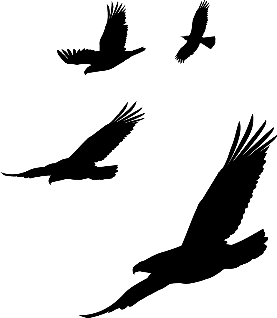 Silhouettes of Birds Soaring in Various Sizes on Transparent Background