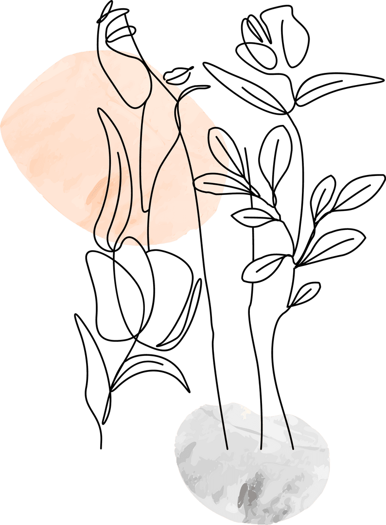 Transparent Minimal Botanical Line Drawing with Peach and Gray