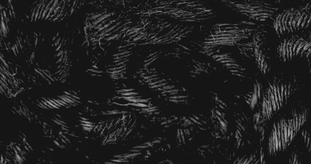 Spooky Halloween Textures with Eerie Patterns