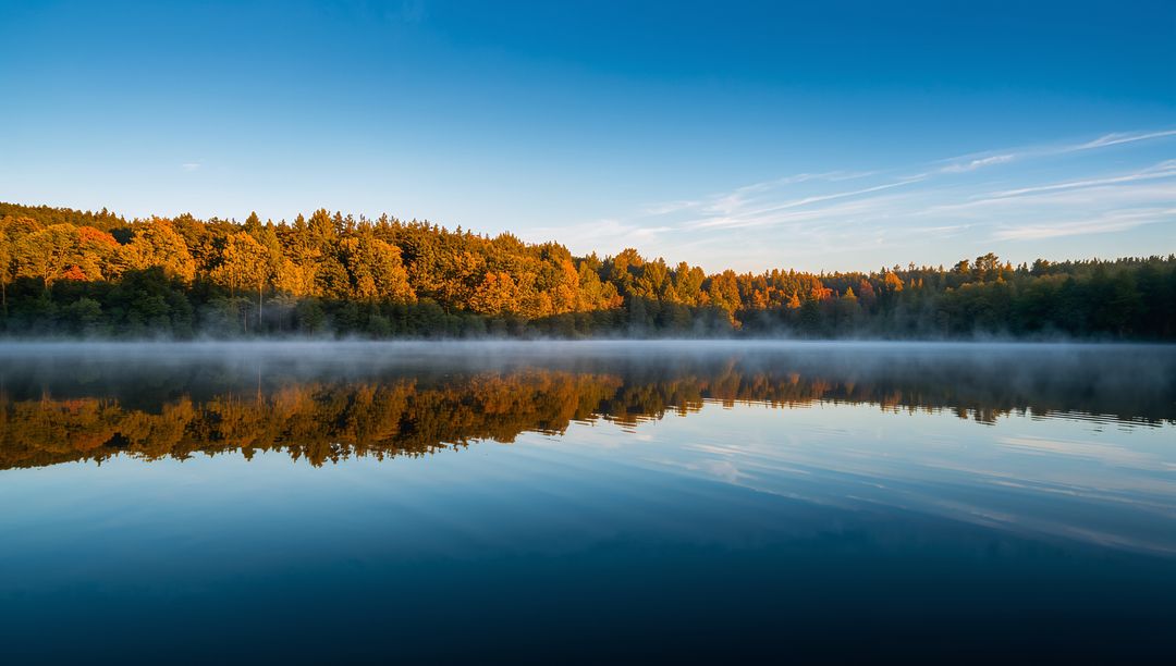 Autumn treeline reflecting on still lake with soft morning mist and perfect mirror surface