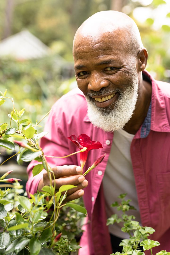 Portrait of happy senior african american man working in garden - Free Images, Stock Photos and Pictures on Pikwizard.com