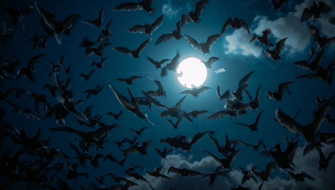 Mysterious Swarm of Bats Soaring Against Moonlit Sky